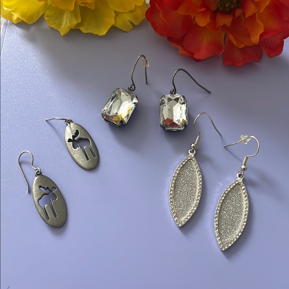 Elegant Earrings Set